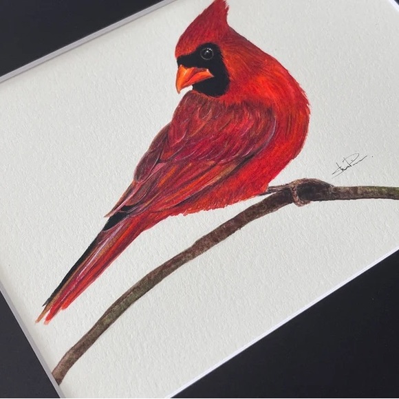 Original Watercolor Cardinal Bird Painting by me (Shannon Perrie/Perrie… - Picture 5 of 9